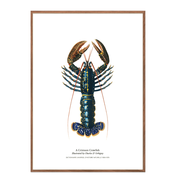 Kkkenplakat med hummer