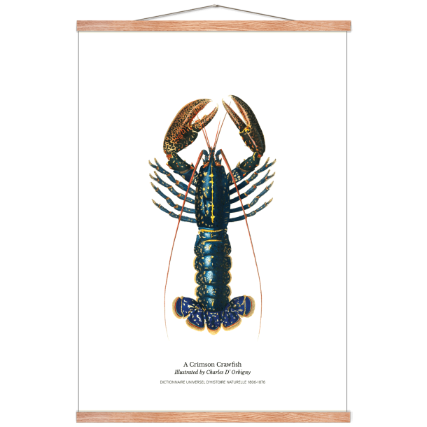 Kkkenplakat med hummer