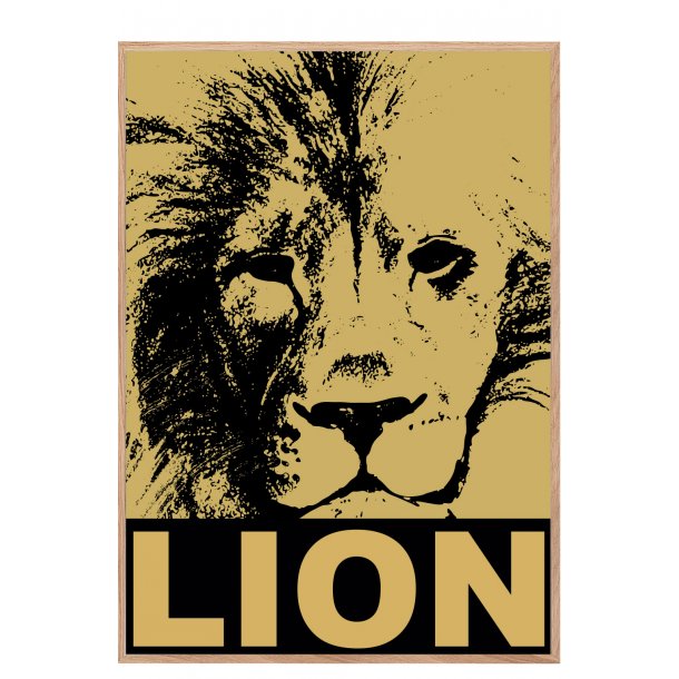 Lve / Lion. Sebastian Klein