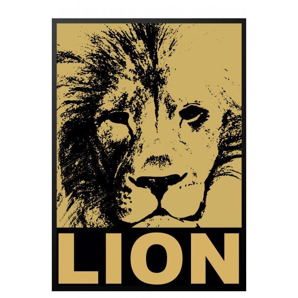 Lve / Lion. Sebastian Klein