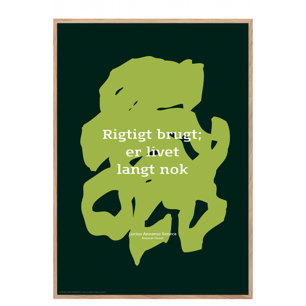 Sndergaard, Citat Lucius Seneca