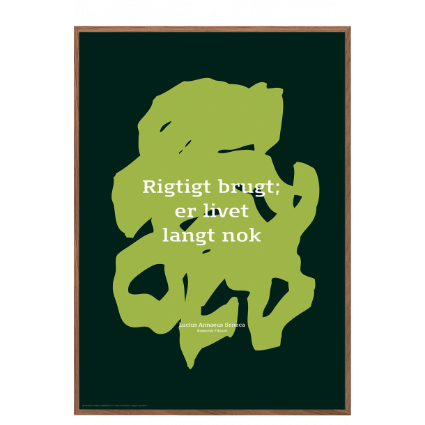 Sndergaard, Citat Lucius Seneca