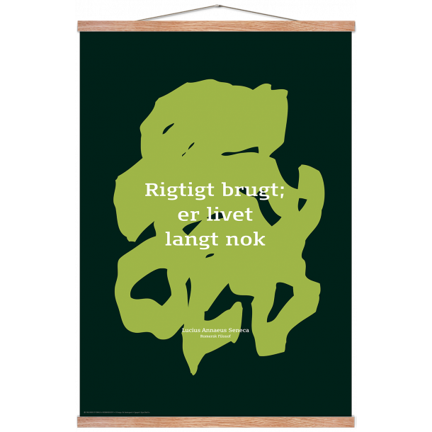 Sndergaard, Citat Lucius Seneca