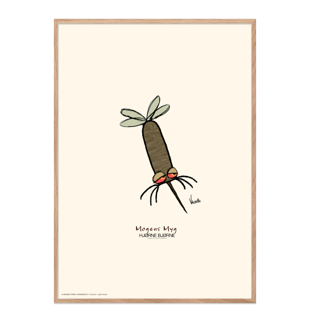 Magnus myg, Hjrnebjrne