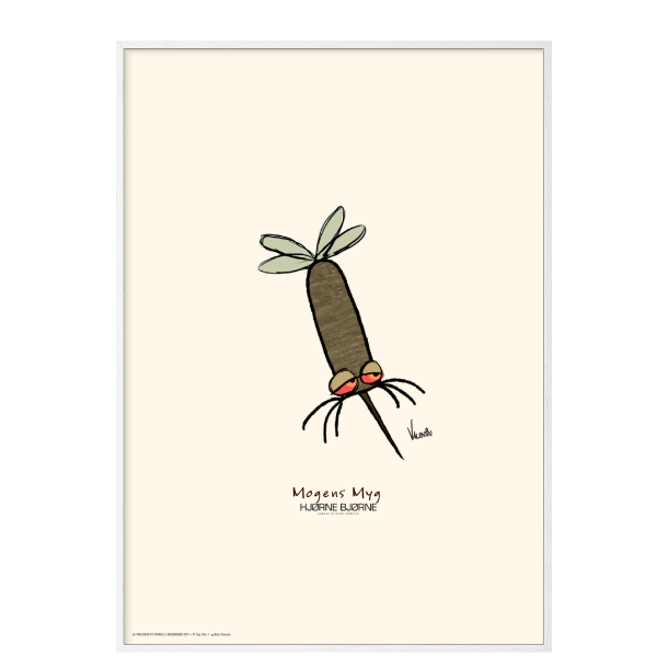 Magnus myg, Hjrnebjrne