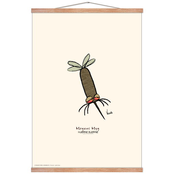 Magnus myg, Hjrnebjrne