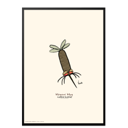 Magnus myg, Hjrnebjrne