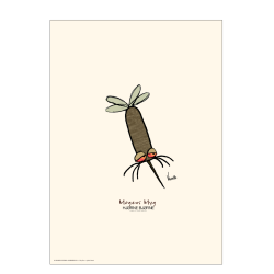 Magnus myg, Hjrnebjrne