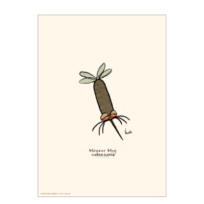 Magnus myg, Hjrnebjrne