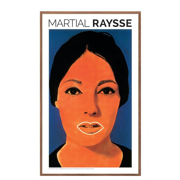 Tableau  haute tension. Martial Raysse