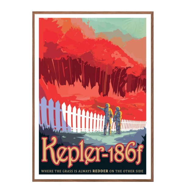 NASA, 15. Kepler-186f
