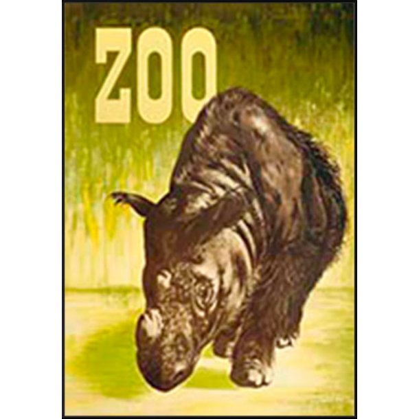Z 32. - Zoo, Nashorn