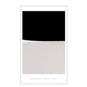 NR. 71, Michael Chang