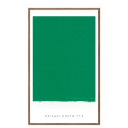 NO. 73, Michael Chang