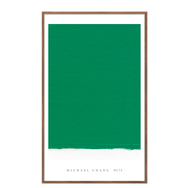 NO. 73, Michael Chang