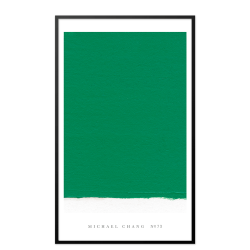 NO. 73, Michael Chang