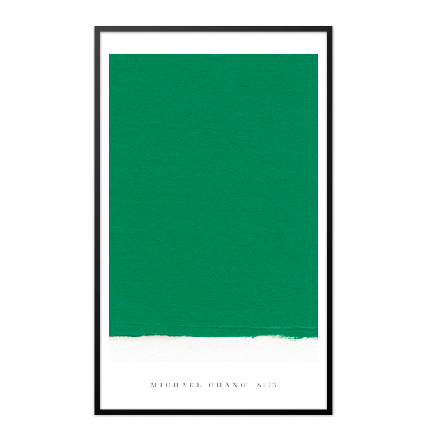 NO. 73, Michael Chang