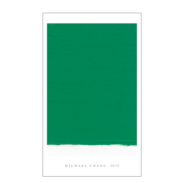 NO. 73, Michael Chang