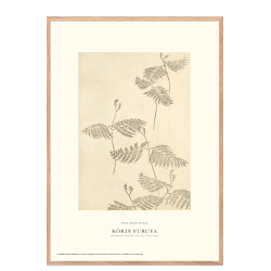 Shin-bijutsukai. Botany