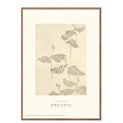 Shin-bijutsukai. Botany