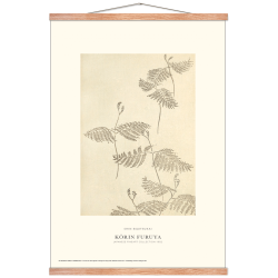 Shin-bijutsukai. Botany