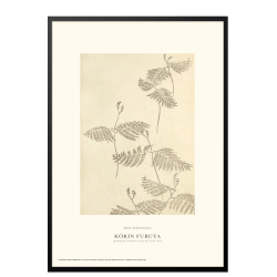 Shin-bijutsukai. Botany