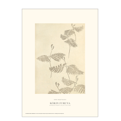 Shin-bijutsukai. Botany