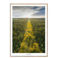 Odsherred. DroneRune