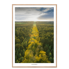 Odsherred. DroneRune