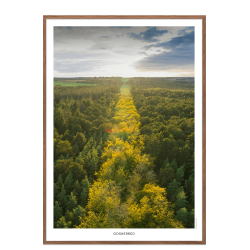 Odsherred. DroneRune