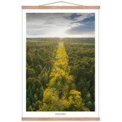 Odsherred. DroneRune