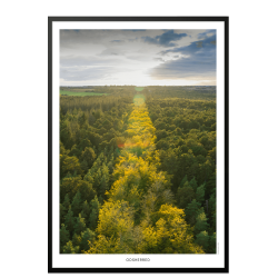 Odsherred. DroneRune