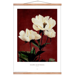 Ogawa Kazumasa - Peony