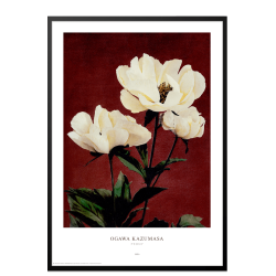 Ogawa Kazumasa - Peony