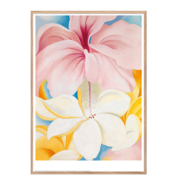 Georgia O'Keeffe. Hibiscus with Plumeria