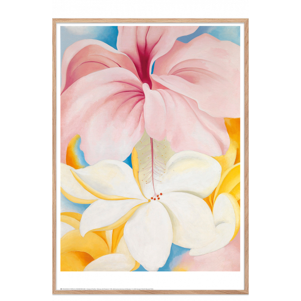 Georgia O'Keeffe. Hibiscus with Plumeria