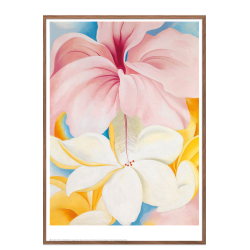 Georgia O'Keeffe. Hibiscus with Plumeria