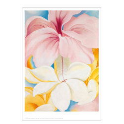 Georgia O'Keeffe. Hibiscus with Plumeria