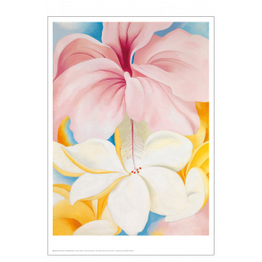 Georgia O'Keeffe. Hibiskus mit Plumeria