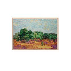 Olive Trees  Vincent Van Gogh