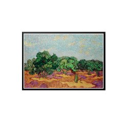 Olive Trees  Vincent Van Gogh
