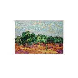 Olive Trees  Vincent Van Gogh