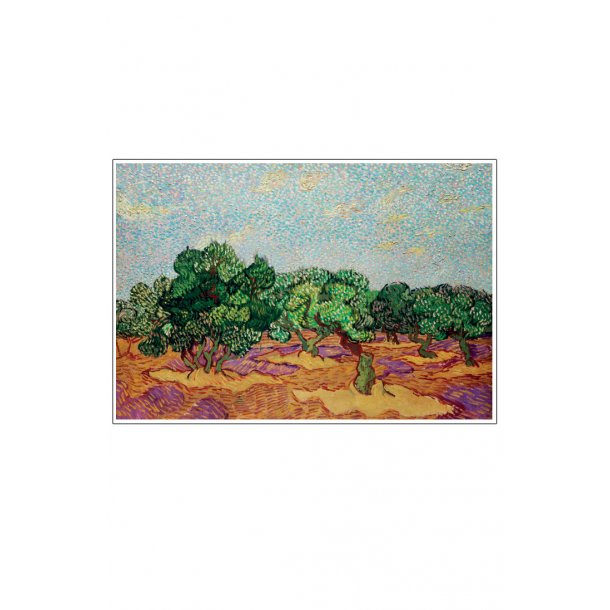 Olive Trees  Vincent Van Gogh