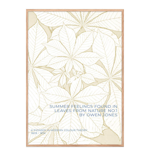 Owen Jones. Leaves from nature