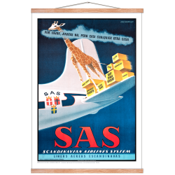 Rasmussen 18 SAS