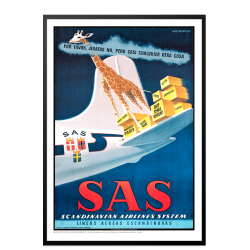 Rasmussen 18 SAS