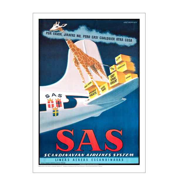 Rasmussen 18 SAS