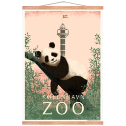 Zoo plakat med panda i pink. Martin Schwartz