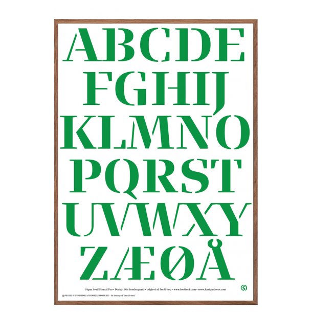 Sndergaard, Citat Fonte 8