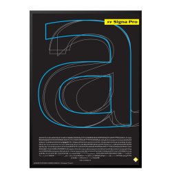 Sndergaard, Citat Fonte 2